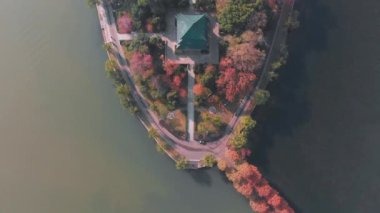 Hubei Wuhan Doğu Gölü Sahnesi Sonbahar Hava Fotoğrafçılık Sahnesi