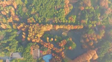 Hubei Wuhan Doğu Gölü Sahnesi Sonbahar Hava Fotoğrafçılık Sahnesi