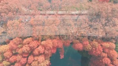 Hubei Wuhan Doğu Gölü Sahnesi Sonbahar Hava Fotoğrafçılık Sahnesi