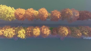 Hubei Wuhan Doğu Gölü Sahnesi Sonbahar Hava Fotoğrafçılık Sahnesi