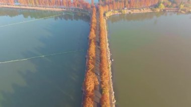 Hubei Wuhan Doğu Gölü Sahnesi Sonbahar Hava Fotoğrafçılık Sahnesi