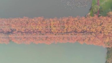 Hubei Wuhan Doğu Gölü Sahnesi Sonbahar Hava Fotoğrafçılık Sahnesi
