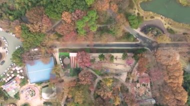 Hubei Wuhan Doğu Gölü Sahnesi Sonbahar Hava Fotoğrafçılık Sahnesi