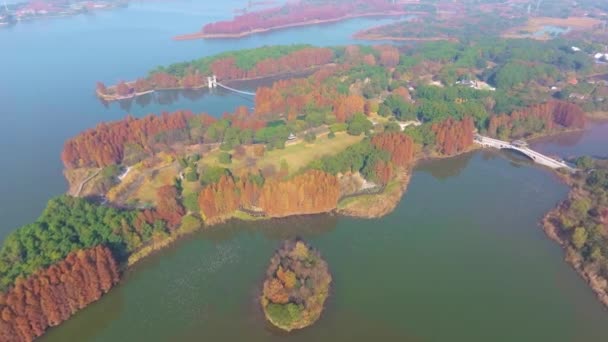 Hubei Wuhan East Lake Área Escénica Paisaje Fotografía Aérea Otoño — Vídeo de stock
