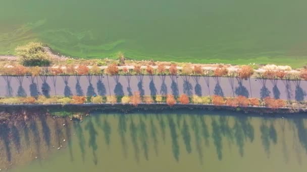 Hubei Wuhan East Lake Scenic Area Őszi Légifotózás Tájkép — Stock videók