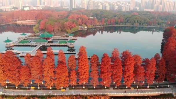 湖北武漢東湖風景区秋の空中写真風景 — ストック動画