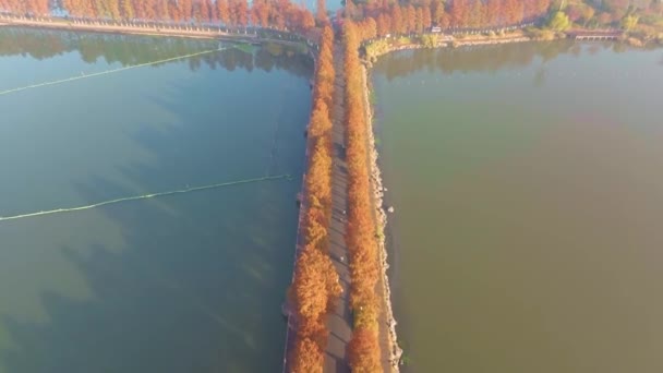 Hubei Wuhan East Lake Scenic Area Umn Aerial Photography Scenery — стокове відео