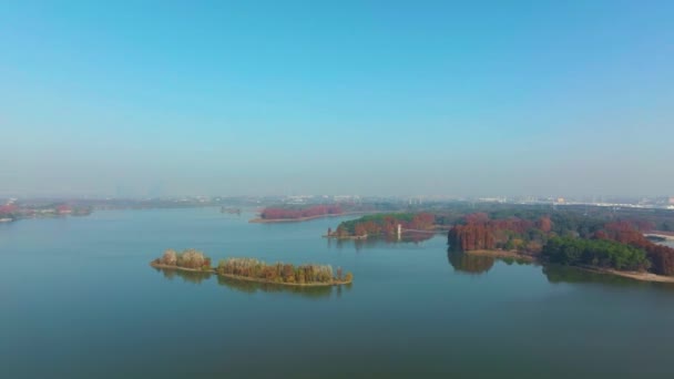 Hubei Wuhan East Lake Área Cênica Outono Fotografia Aérea Paisagem — Vídeo de Stock