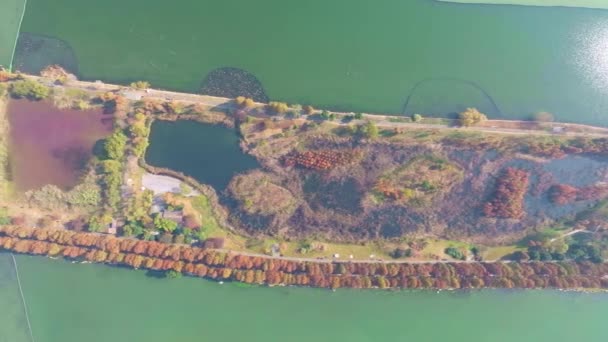 Hubei Wuhan Lac Est Paysage Photographie Aérienne Automne — Video