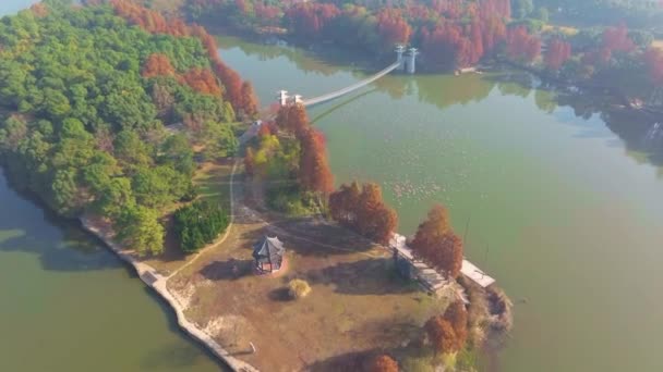 Hubei Wuhan East Lake Scenic Area Autunno Fotografia Aerea Scenario — Video Stock
