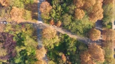 Wuhan Hanyang Nanan Zui Parkı Sonbahar manzarası