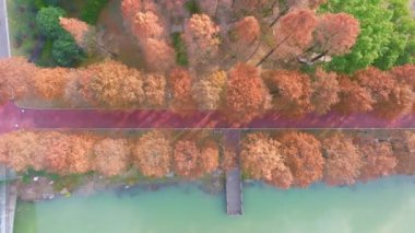 Wuhan Qingshan Parkı sonbahar manzarası Hubei, Çin
