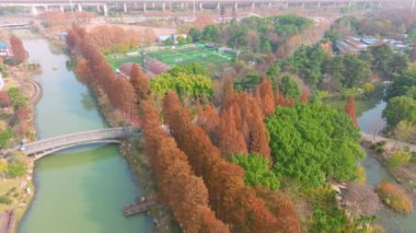 Wuhan Qingshan Parkı sonbahar manzarası Hubei, Çin