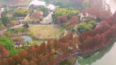 Wuhan Qingshan Parkı sonbahar manzarası Hubei, Çin