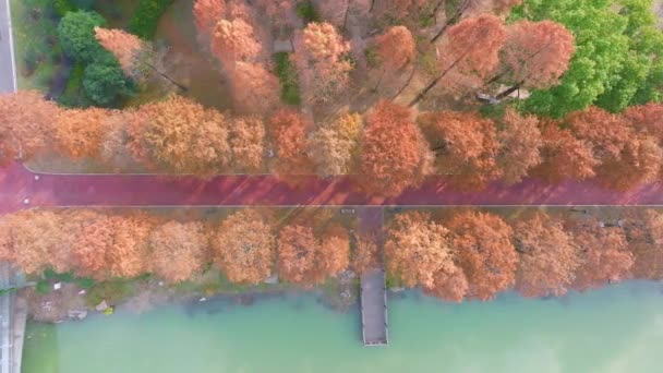 Wuhan Qingshan Park Late Herfst Landschap Hubei China — Stockvideo