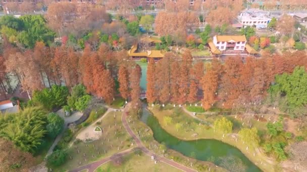 Wuhan Qingshan Park Sent Hösten Landskap Hubei Kina — Stockvideo