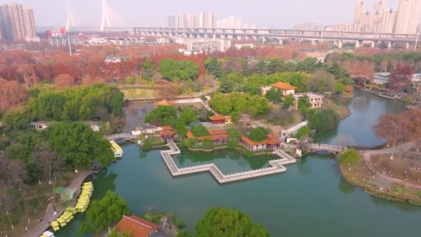 Wuhan Qingshan Park Cenário Final Outono Hubei China — Vídeo de Stock