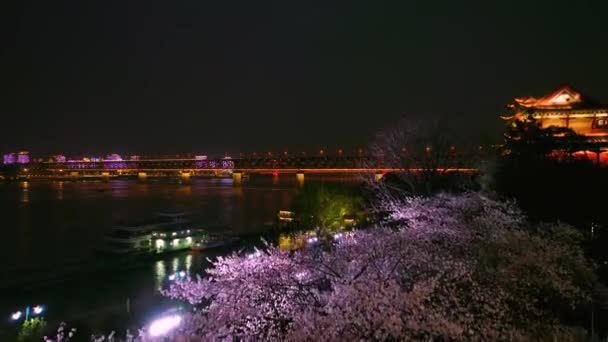 Wuhan Hanyang River Beach Qingchuan Pavilion Park Třešňové Květinové Scenérie — Stock video
