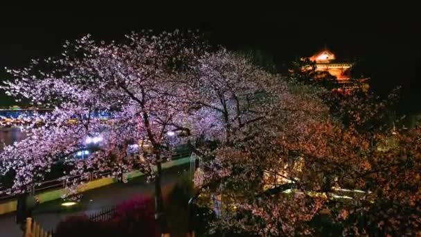 Wuhan Hanyang River Strand Qingchuan Pavillon Park Und Kirschblütenlandschaft — Stockvideo