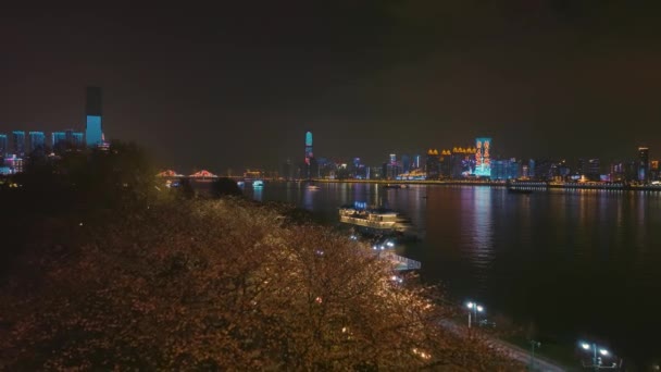 Wuhan Hanyang River Beach Qingchuan Pavilion Park Paisajes Flores Cerezo — Vídeos de Stock