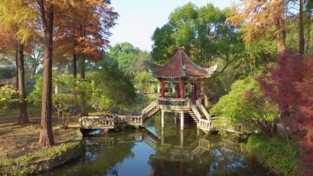 Jesienna Sceneria Ogrodzie Botanicznym Wuhan Hubei Chiny — Wideo stockowe