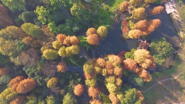 武漢植物園 湖北省 中国の秋の風景 — ストック動画