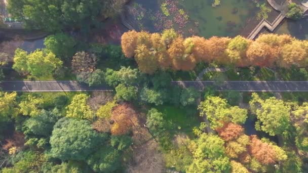 Φθινόπωρο Τοπίο Wuhan Βοτανικός Κήπος Hubei Κίνα — Αρχείο Βίντεο