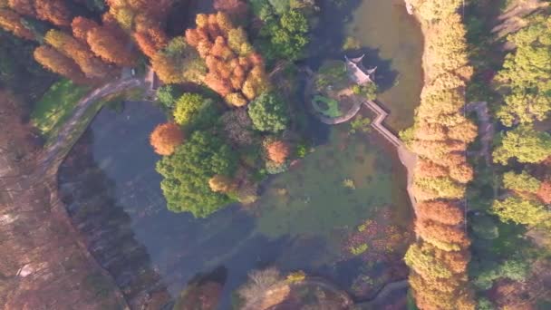 Podzimní Scenérie Botanické Zahradě Wuhan Hubei Čína — Stock video
