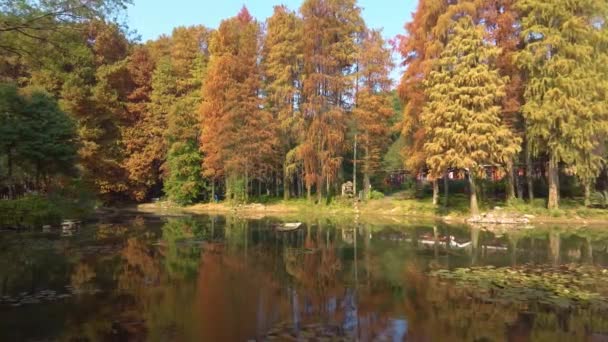 Осенний Пейзаж Уханьском Ботаническом Саду Хубэй Китай — стоковое видео