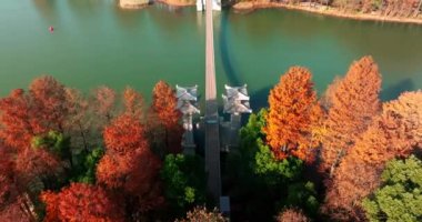 Luoyan Adası Sahne Bölgesi, Doğu Gölü, Wuhan 'da sonbahar manzarası.