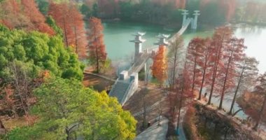 Luoyan Adası Sahne Bölgesi, Doğu Gölü, Wuhan 'da sonbahar manzarası.