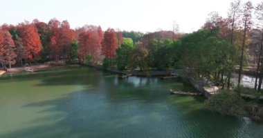 Luoyan Adası Sahne Bölgesi, Doğu Gölü, Wuhan 'da sonbahar manzarası.