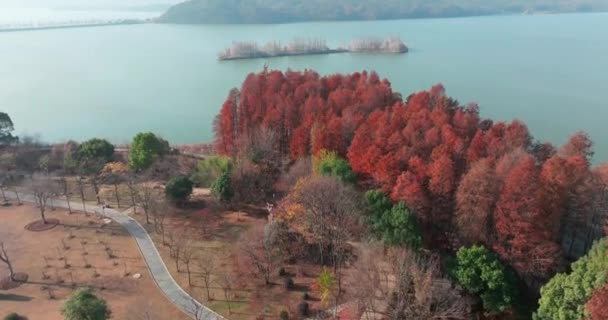 Podzimní Scenérie Luoyan Island Scénická Oblast East Lake Wuhan — Stock video