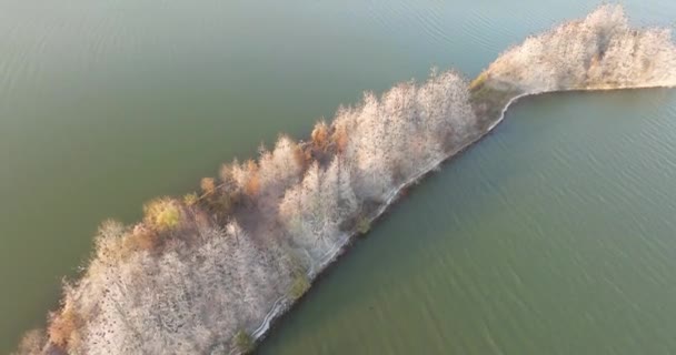 Paisajes Otoñales Luoyan Island Scenic Área East Lake Wuhan — Vídeos de Stock