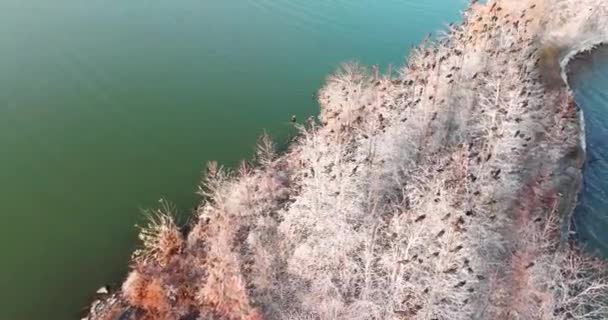 Őszi Táj Luoyan Island Scenic Area East Lake Wuhan — Stock videók