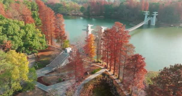 Autumn Scenery Luoyan Island Scenic Area East Lake Wuhan — Stock Video