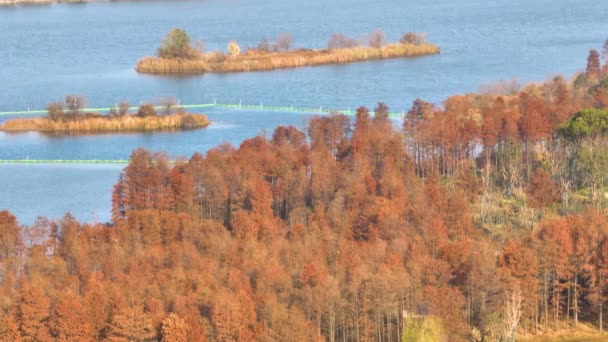 Autumn Scenery Luoyan Island Scenic Area East Lake Wuhan — Stock Video
