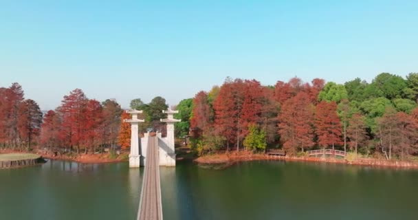 武汉市东湖洛岩岛风景区的秋景 — 图库视频影像