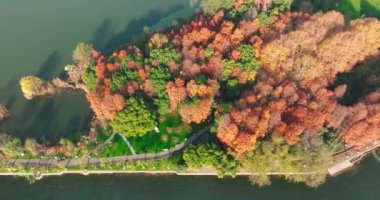 Wuhan Doğu Gölü Wetland Park Sahne Bölgesi Sonbahar manzarası
