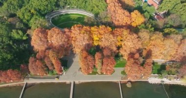 Wuhan Doğu Gölü Wetland Park Sahne Bölgesi Sonbahar manzarası