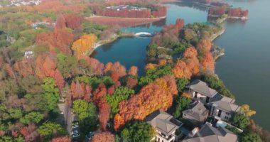 Wuhan Doğu Gölü Wetland Park Sahne Bölgesi Sonbahar manzarası