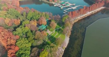 Wuhan Doğu Gölü Wetland Park Sahne Bölgesi Sonbahar manzarası