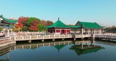 Wuhan Doğu Gölü Wetland Park Sahne Bölgesi Sonbahar manzarası