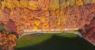 Wuhan Doğu Gölü Wetland Park Sahne Bölgesi Sonbahar manzarası