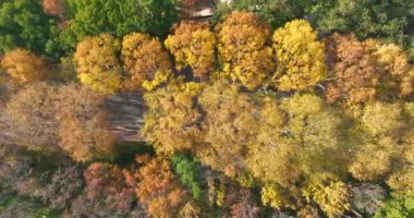 Wuhan Doğu Gölü Wetland Park Sahne Bölgesi Sonbahar manzarası