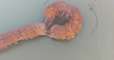 Wuhan Doğu Gölü Wetland Park Sahne Bölgesi Sonbahar manzarası