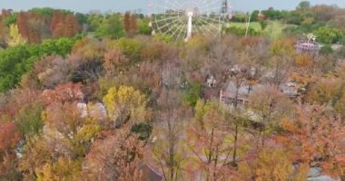 Wuhan Doğu Gölü Wetland Park Sahne Bölgesi Sonbahar manzarası