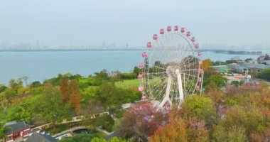 Wuhan Doğu Gölü Wetland Park Sahne Bölgesi Sonbahar manzarası