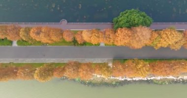 Wuhan Doğu Gölü Wetland Park Sahne Bölgesi Sonbahar manzarası
