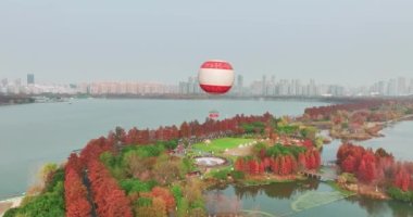 Wuhan Doğu Gölü Wetland Park Sahne Bölgesi Sonbahar manzarası